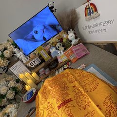 宠物家长客户见证