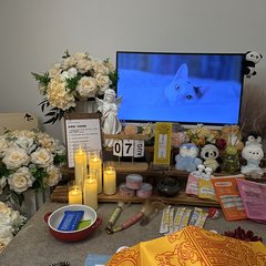 宠物家长客户见证