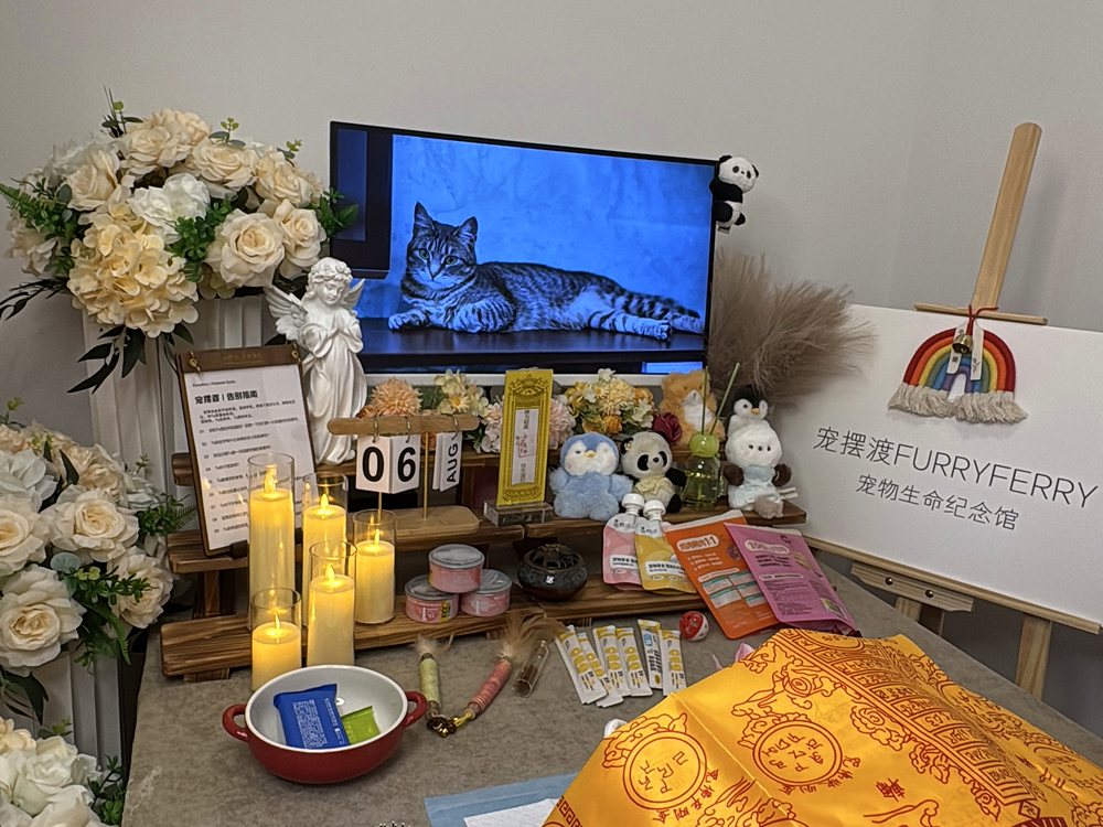 宠物告别仪式现场布置